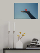 red flower and blue sky Poster och Canvastavla