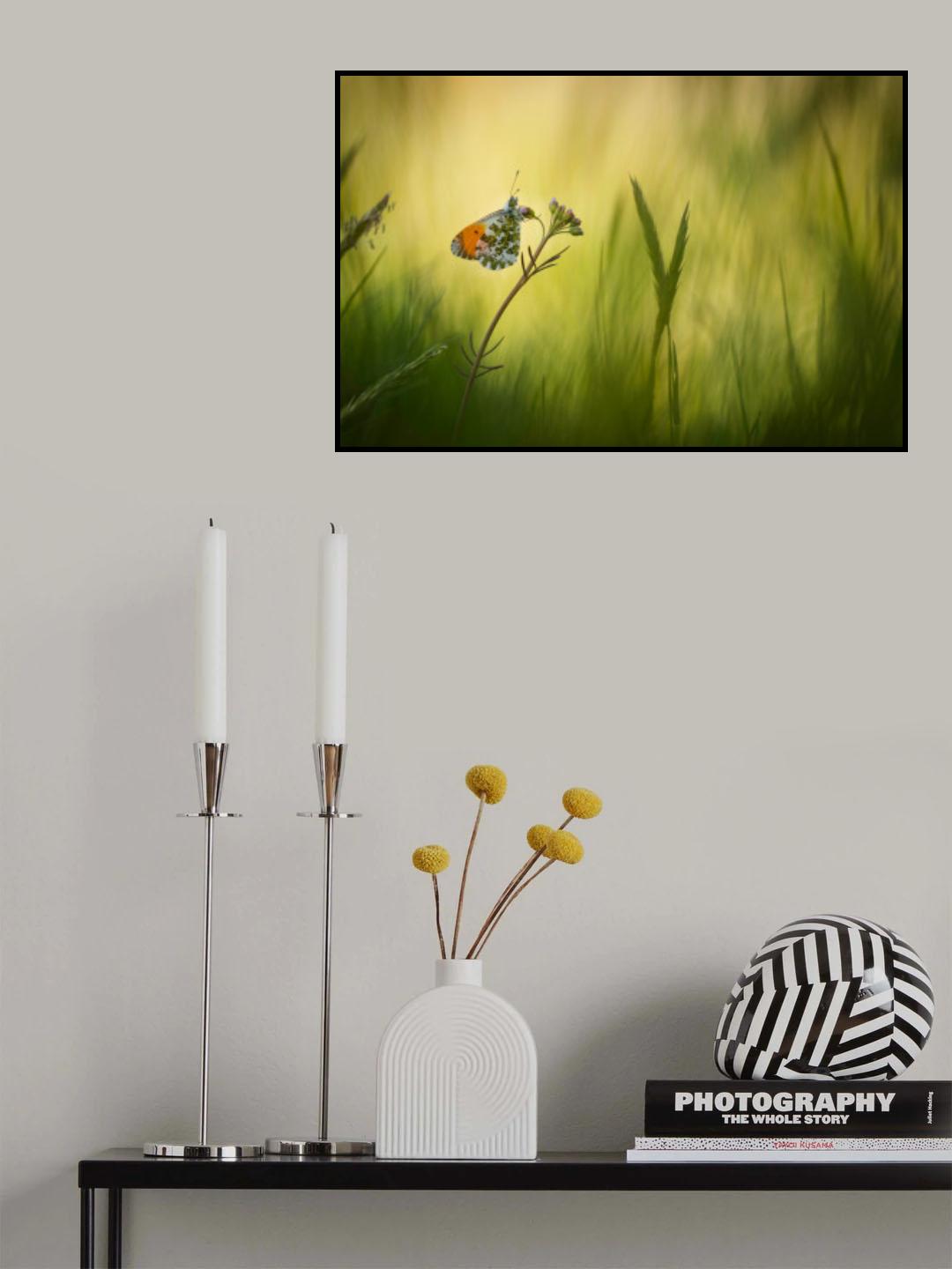 A brand new day Poster och Canvastavla