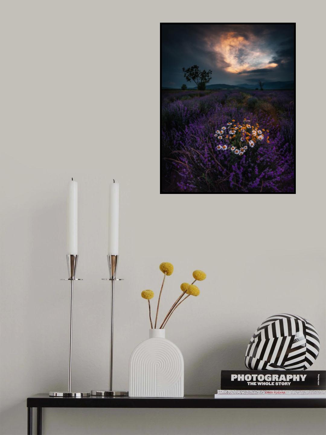 Lavender sunset Poster och Canvastavla