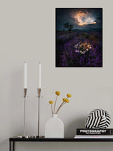 Lavender sunset Poster och Canvastavla