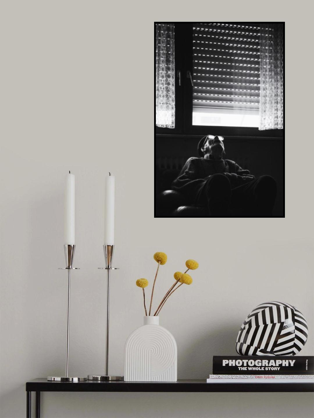 Afternoon nap Poster och Canvastavla