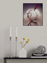 Boom! Poster och Canvastavla