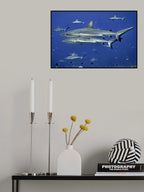 Tetamanu Poster och Canvastavla