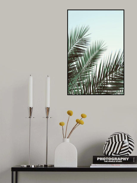 Palm leaves, sky_1 Poster och Canvastavla