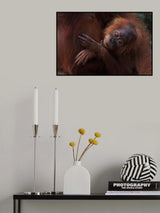 Thinking Poster och Canvastavla