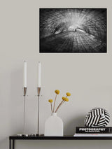 In the tunnel of flower Poster och Canvastavla