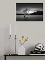 Poster och Canvastavla