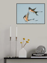 Happy Landing Poster och Canvastavla