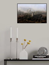 The rut in on - White-tailed deer Poster och Canvastavla