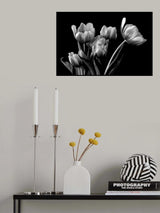 Tulip Poster och Canvastavla