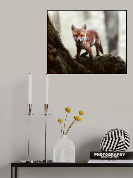 Little red fox Poster och Canvastavla