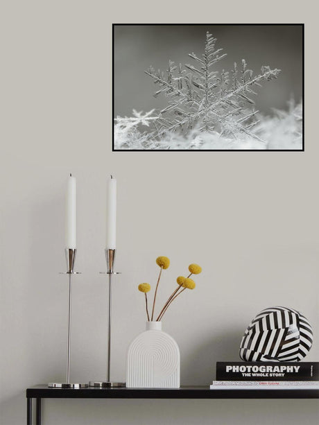 Snowflake Poster och Canvastavla