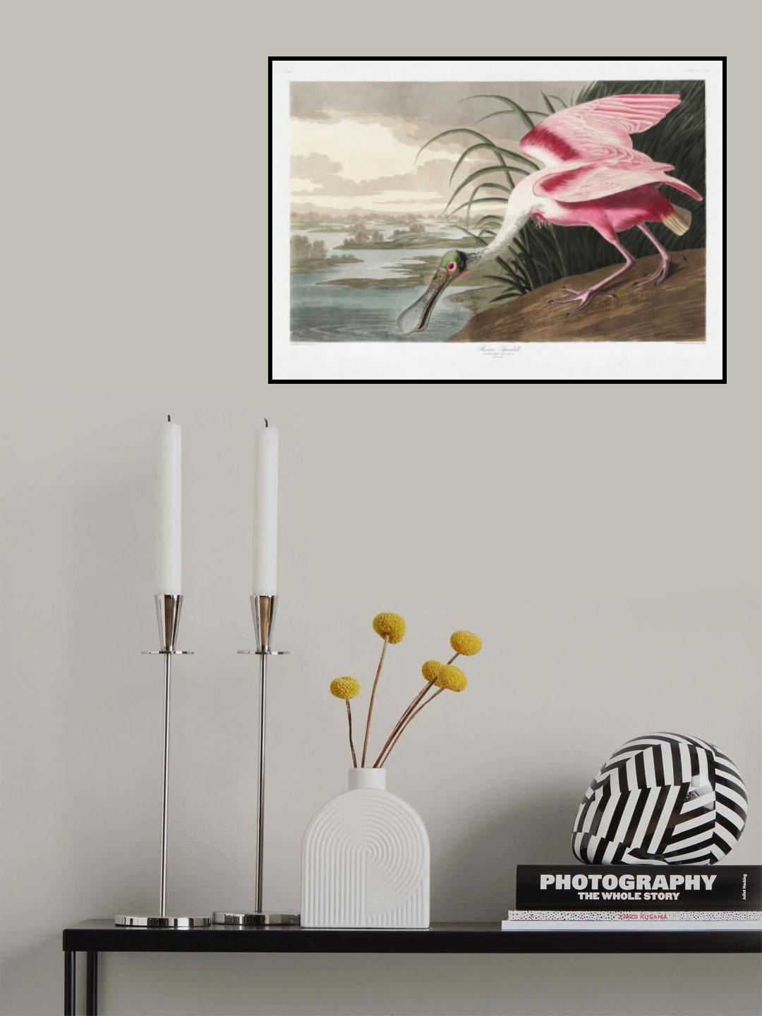 Roseate Spoonbill From Birds of America (1827) Poster och Canvastavla