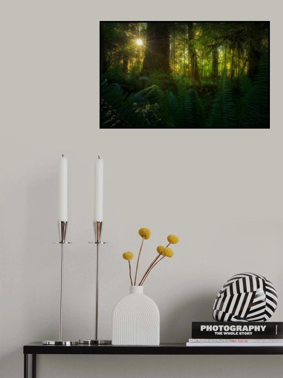 Rainforest Poster och Canvastavla