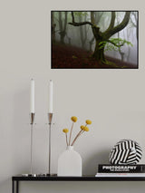 Walking trough the foret. Poster och Canvastavla