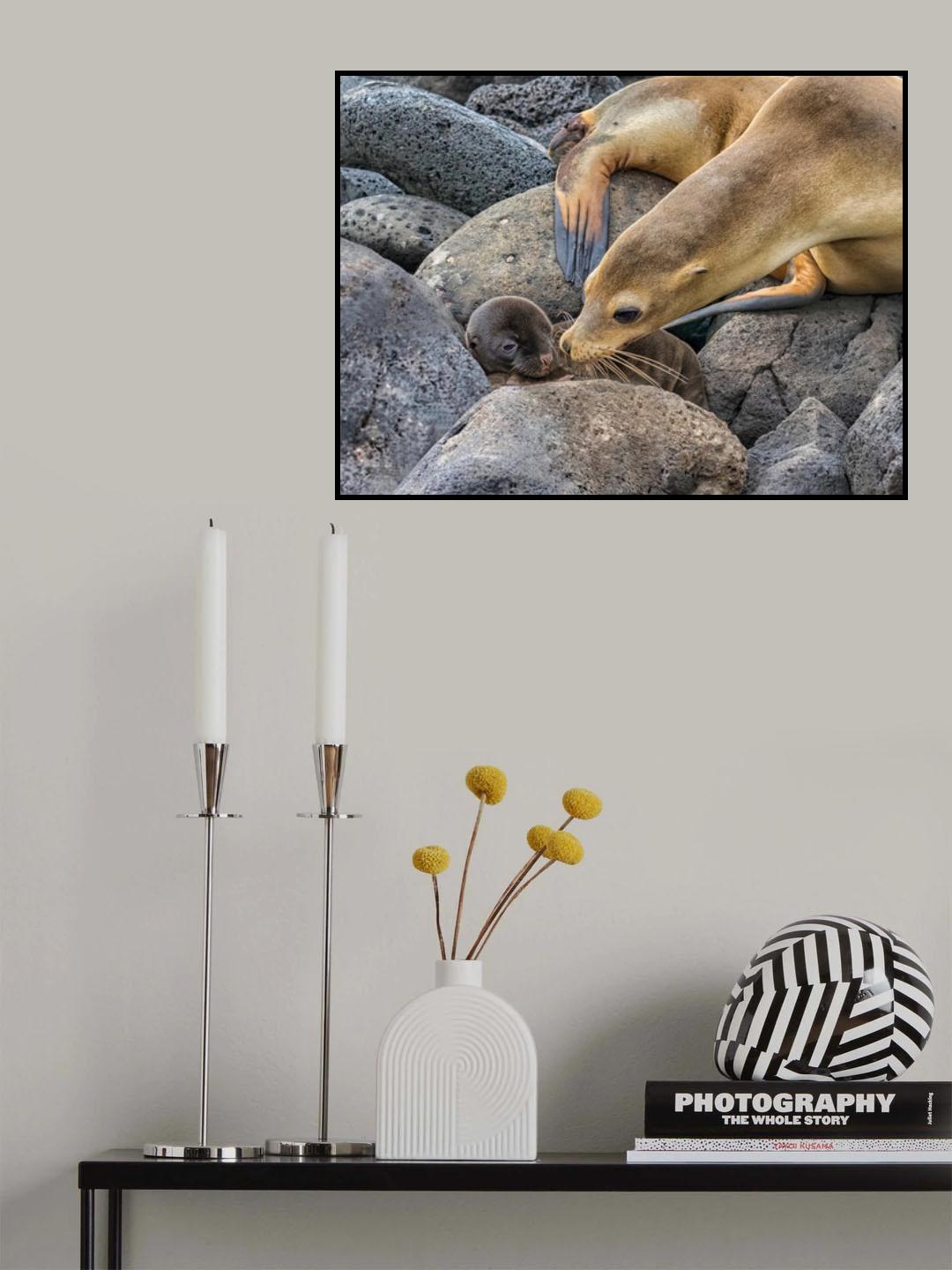 A Mother's Love Poster och Canvastavla