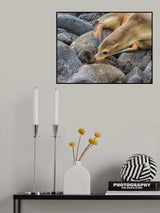 A Mother's Love Poster och Canvastavla