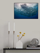 Safety Stop Companions Poster och Canvastavla