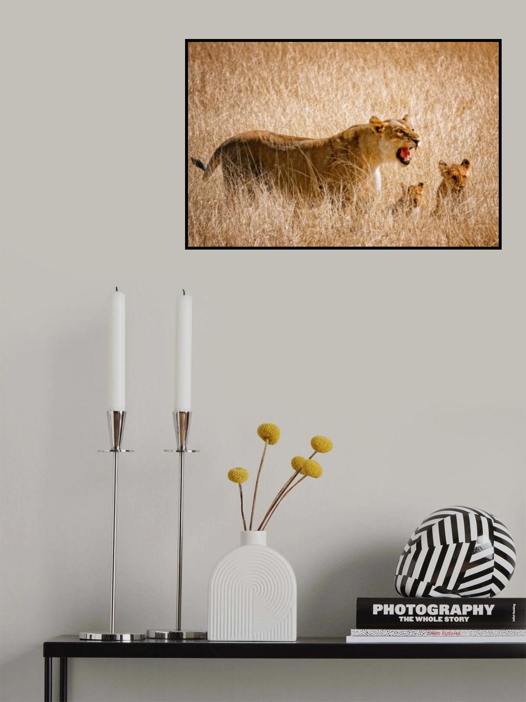 Don't disturb me Poster och Canvastavla