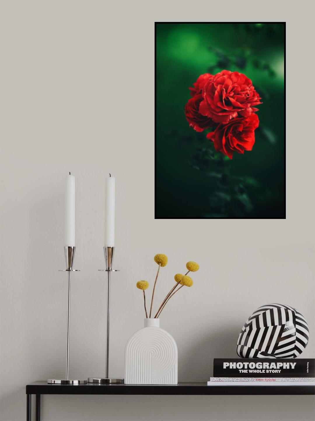 roses Poster och Canvastavla