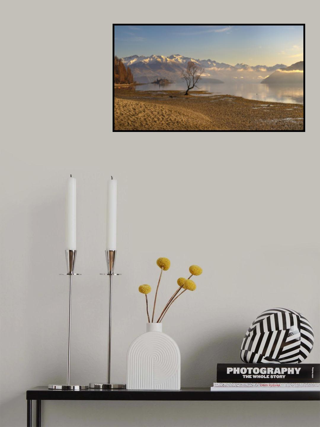 Morning light at Wanaka Poster och Canvastavla