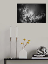 rain has stopped Poster och Canvastavla