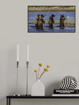 "A boar is coming..." Poster och Canvastavla