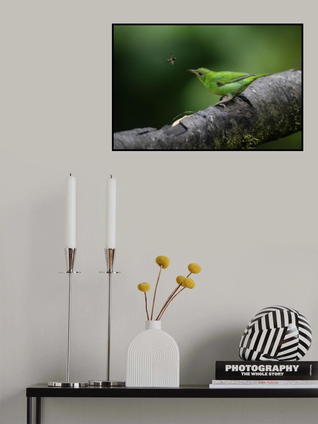Green Honeycreeper Female Poster och Canvastavla