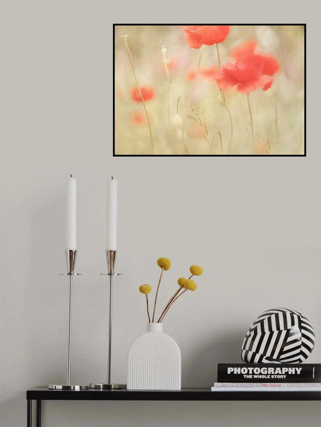 Memories Poster och Canvastavla