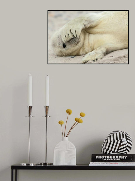 Peekaboo Poster och Canvastavla