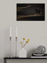 watch the light Poster och Canvastavla