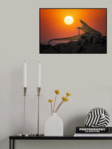 eat the sun Poster och Canvastavla