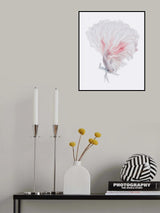 ROOT BETTA Poster och Canvastavla