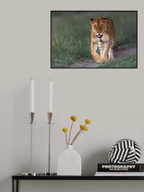 Poster och Canvastavla