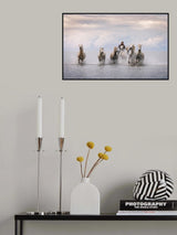 Camargue Horses Poster och Canvastavla