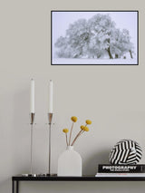 Winterland Poster och Canvastavla