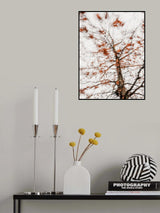Autumn leaves Poster och Canvastavla