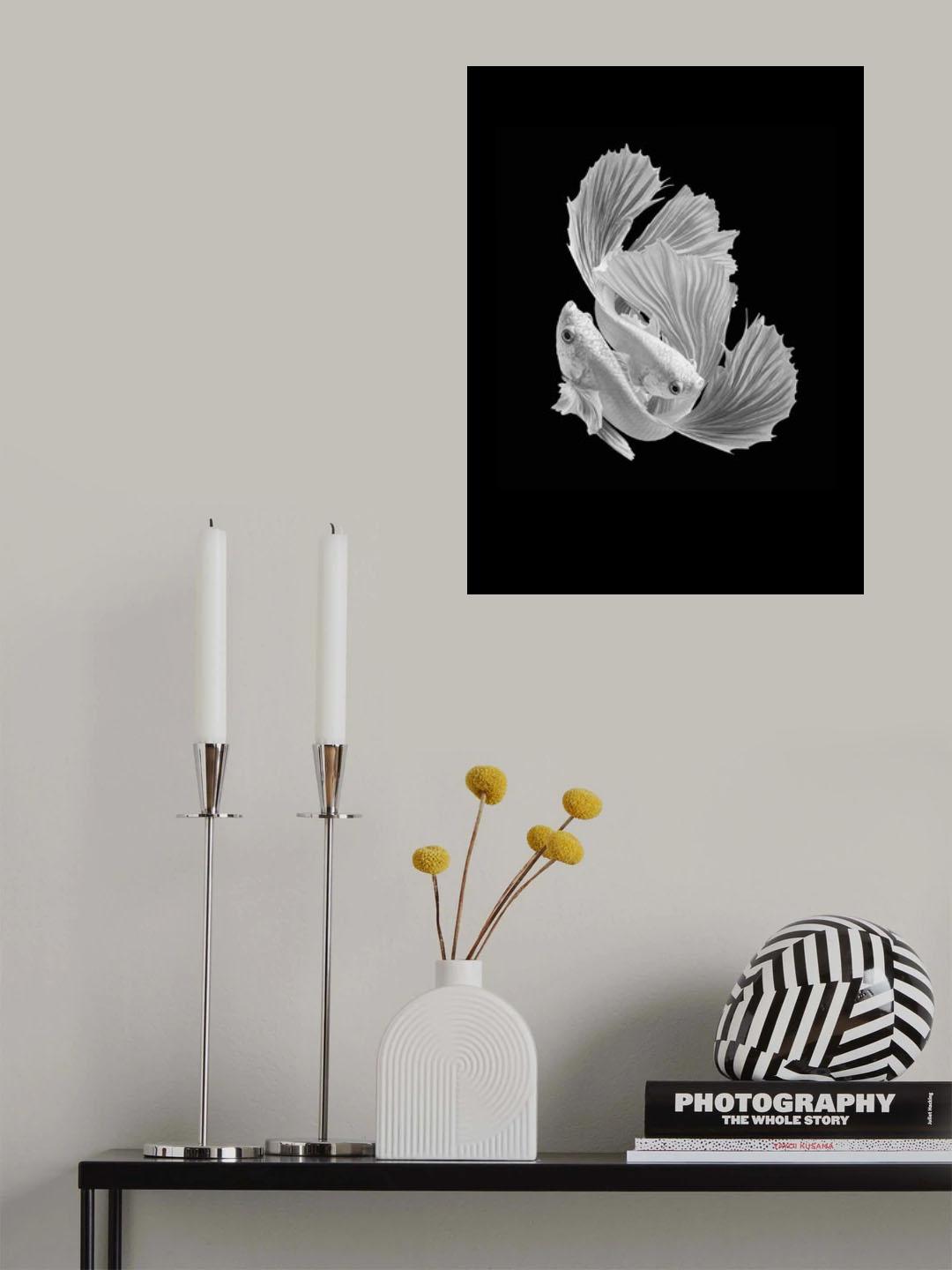 White Love Poster och Canvastavla