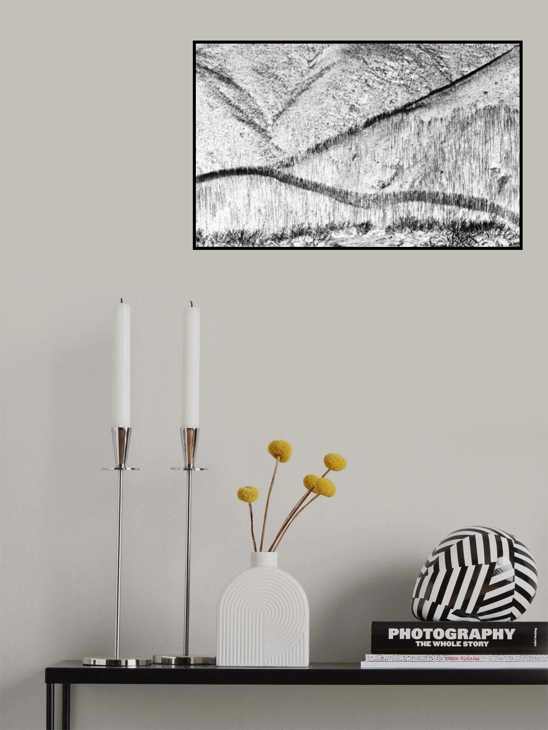 Natures Way Poster och Canvastavla