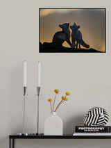 Arctic Fox Poster och Canvastavla