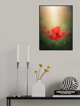 Light and colors 3 7R41568 Poster och Canvastavla