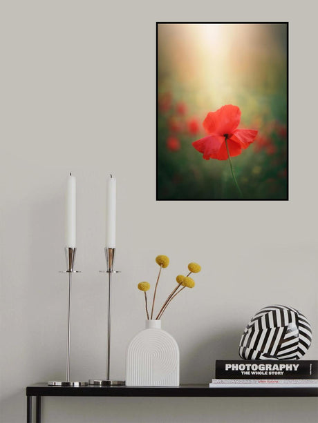 Light and colors 3 7R41568 Poster och Canvastavla