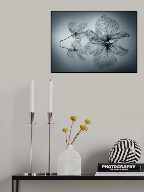 Ephemeral Beauty Poster och Canvastavla