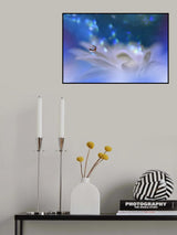 The Song of the Sea... Poster och Canvastavla
