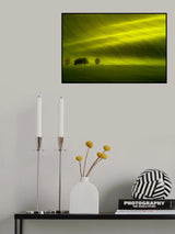 Sunlight Poster och Canvastavla