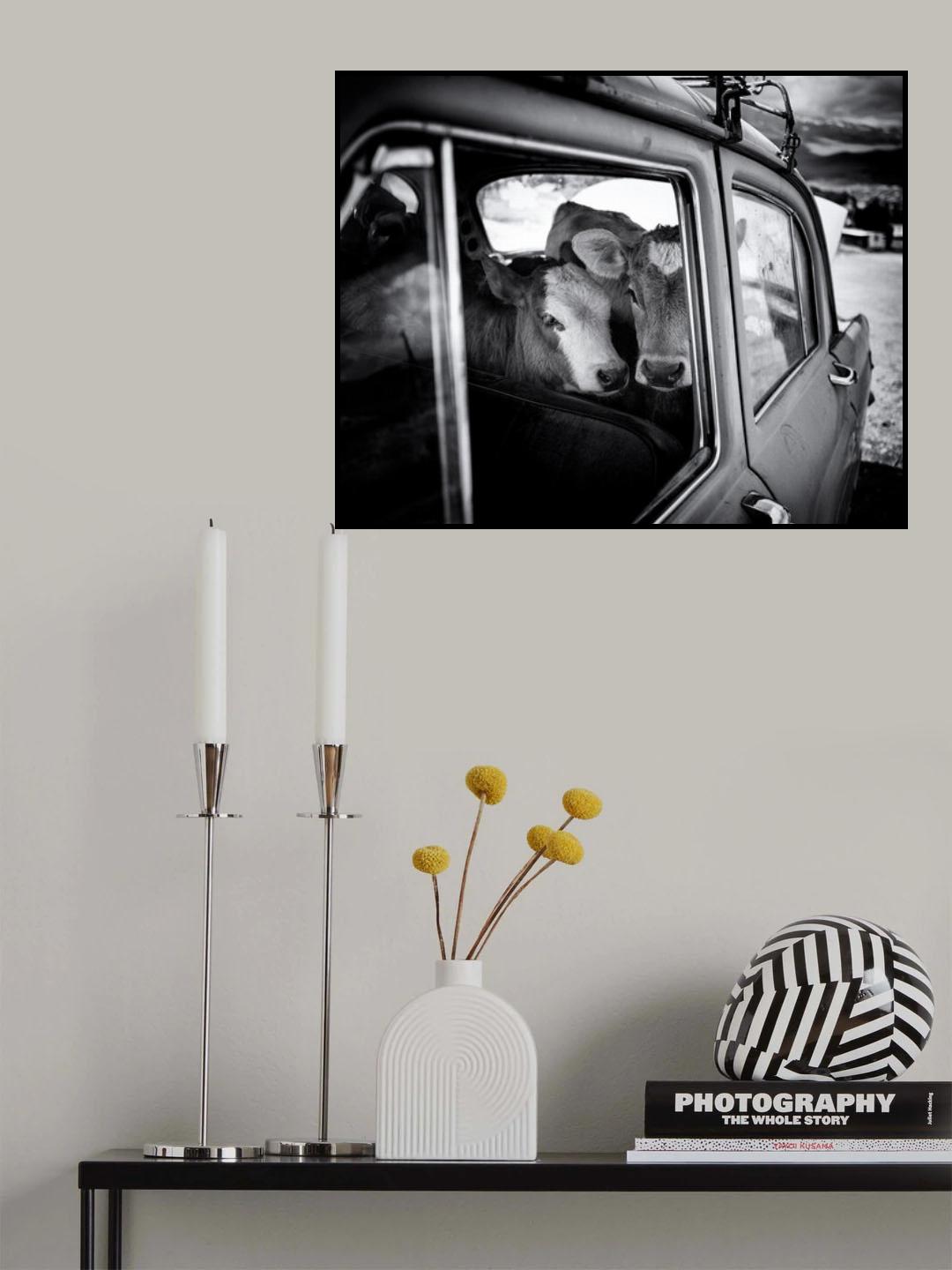 Full House Poster och Canvastavla
