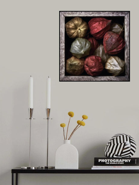 Physalis in a box Poster och Canvastavla