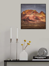Resilience II Poster och Canvastavla