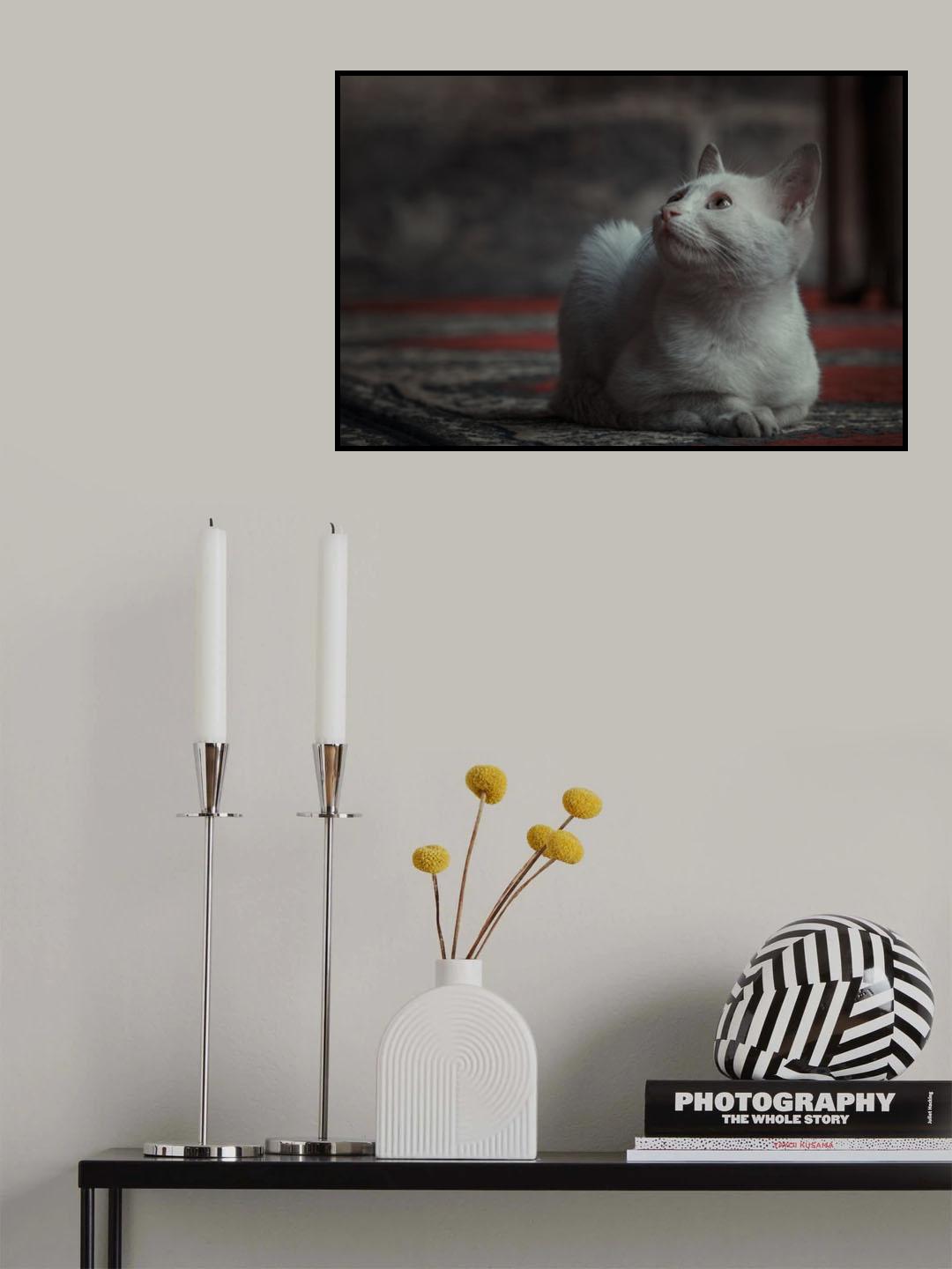 Poster och Canvastavla