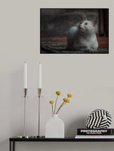 Poster och Canvastavla